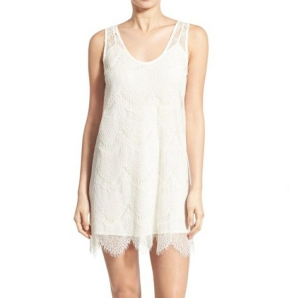 Cupcakes and Cashmere Cream Lace Sheath Dress